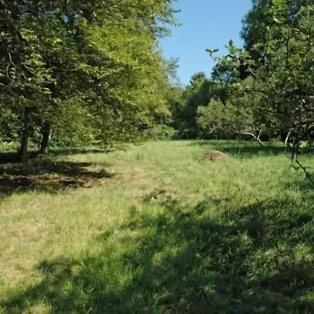 Et D'orfeuil Hotel Bourbonne-les-Bains